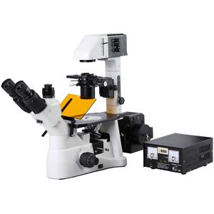 inverted fluorescent microscope