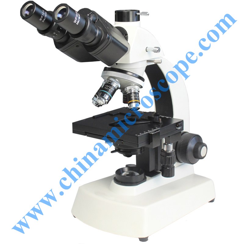 MIA-900 series biological microscope – Microscope manufacturer in China